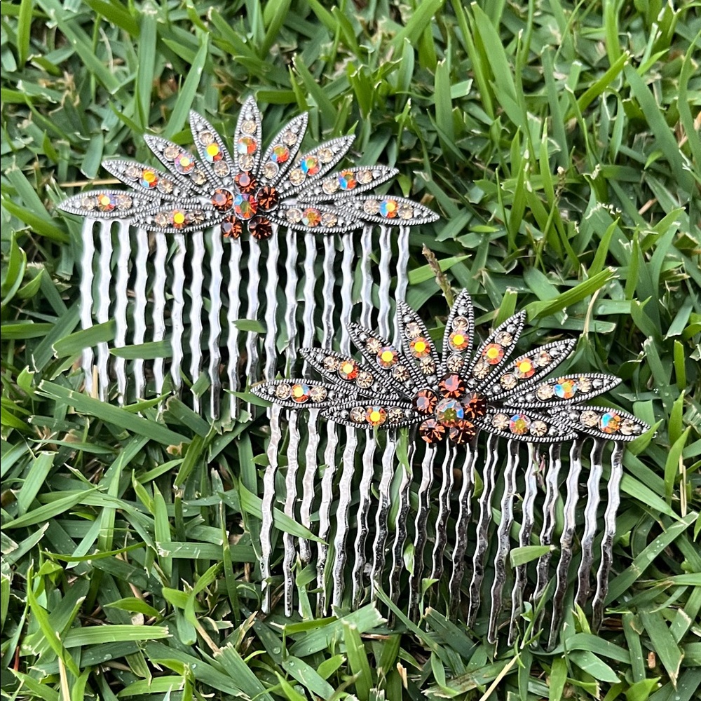 Elegant Silver Hair Combs